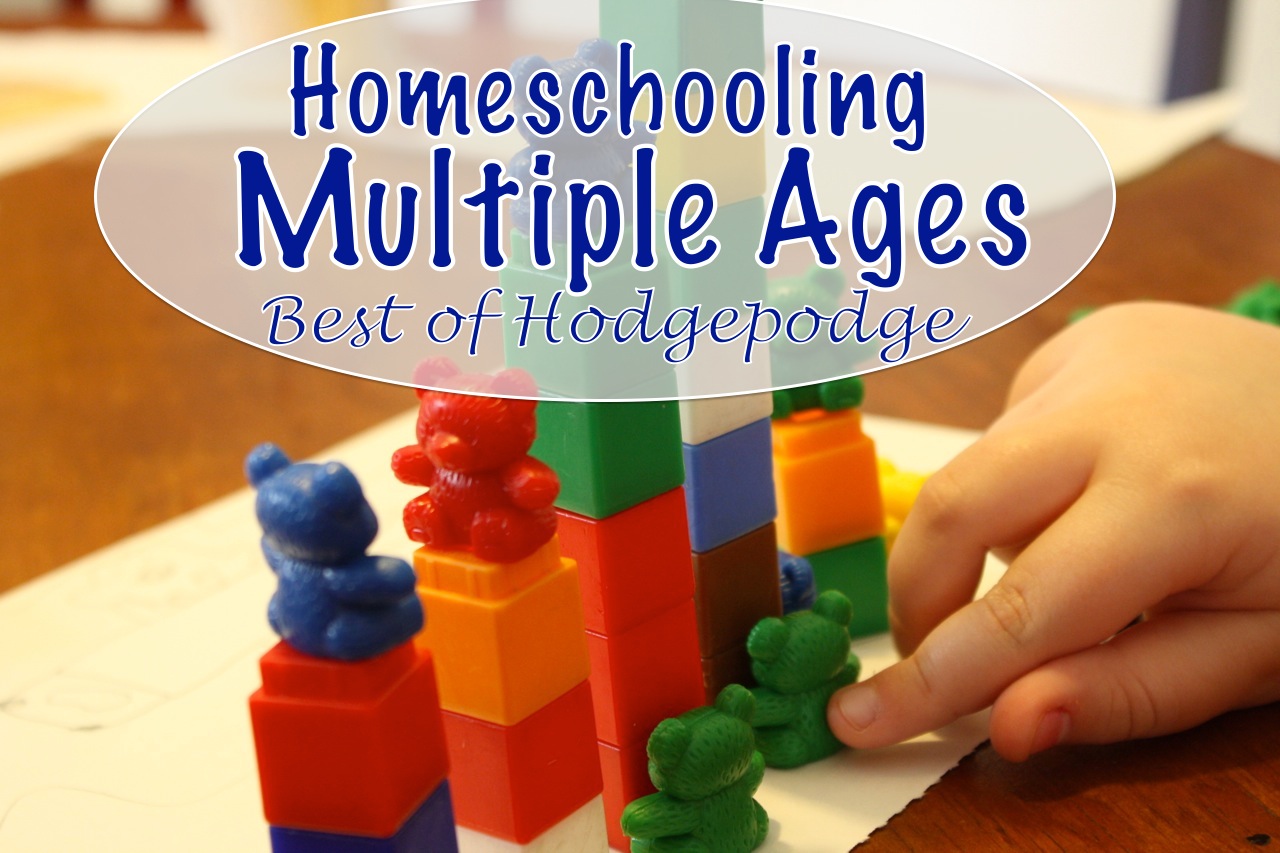 What’s the Best Age to Homeschool? – Stage Has Its Own Perks