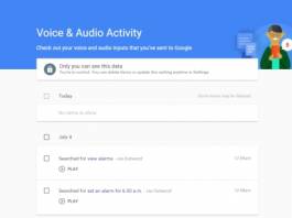 Delete Your Google Voice Search History