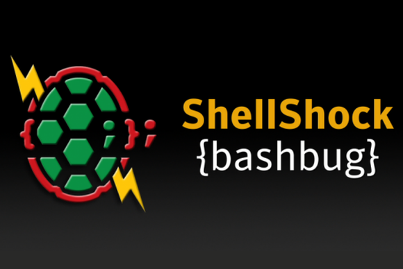 Shellshock Bash Bug – Description and Prevention