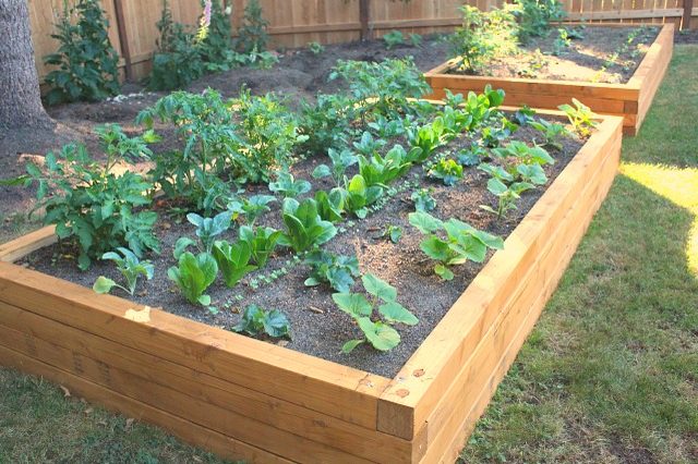 How to Make a Raised Bed Style Garden