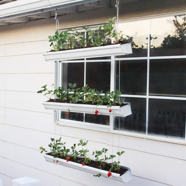 How to Make a Hanging Type Strawberry Plant Box