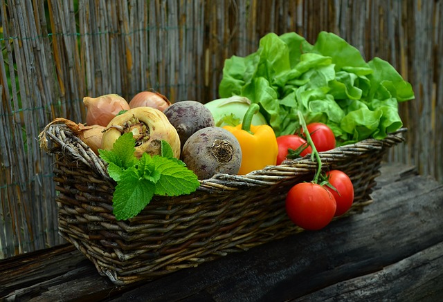 Grow Your Vegetables Indoors