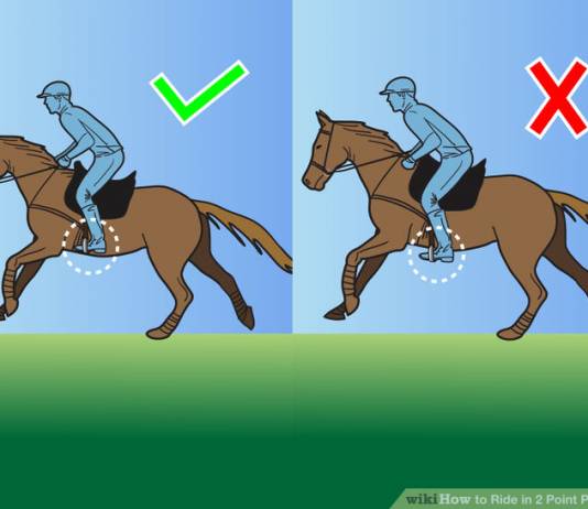 Horseback Riding in Two-Point Position