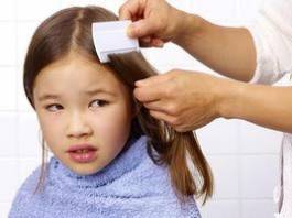 Easy Tips to Avoid and Prevent Head Lice in Children